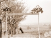 img-1248