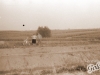 img-2343