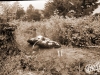 img-4917